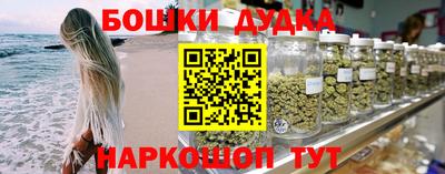 МДПВ Бийск