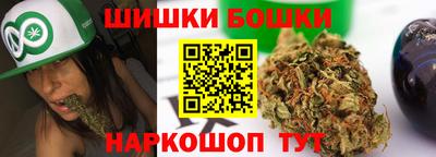 МДПВ Бийск
