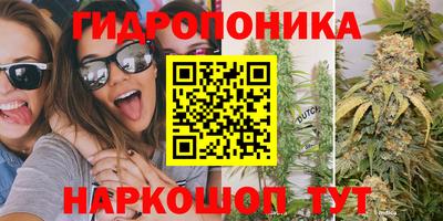 МДПВ Бийск