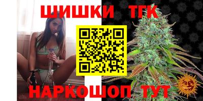 МДПВ Бийск