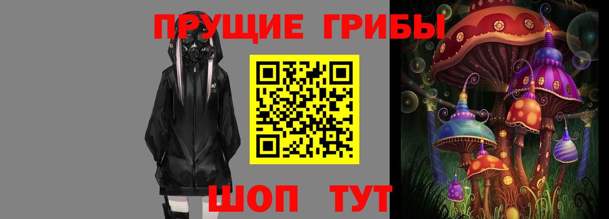 Псилоцибиновые грибы Psilocybine cubensis  Вход с VPN  Качканар  Псилоцибиновые грибы MAGIC MUSHROOMS 