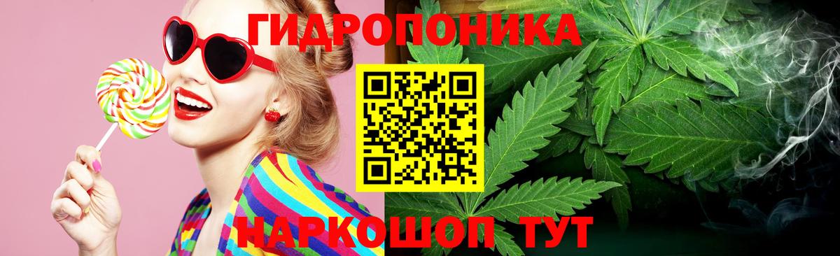 Бошки Шишки семена Качканар